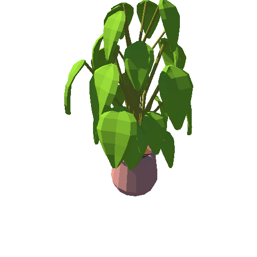 Plant 2